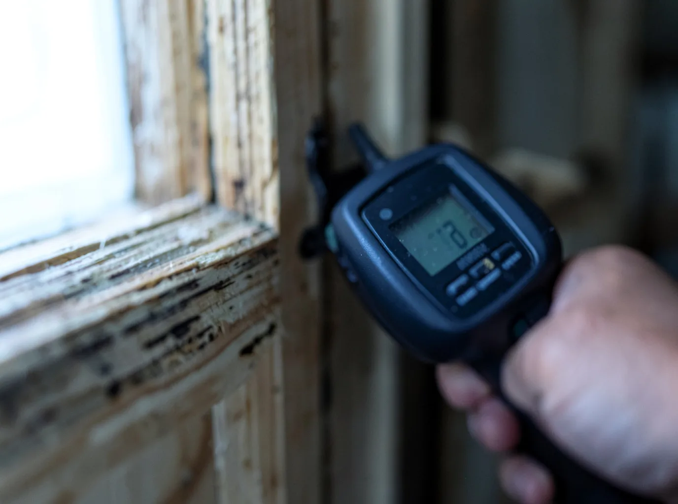 Moisture Inspection And Documentation in Lyndon Center, VT
